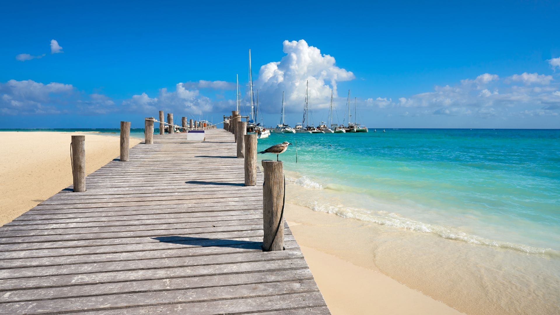 Las mejores playas del Caribe: paraísos que debes visitar, image size:1920x1080