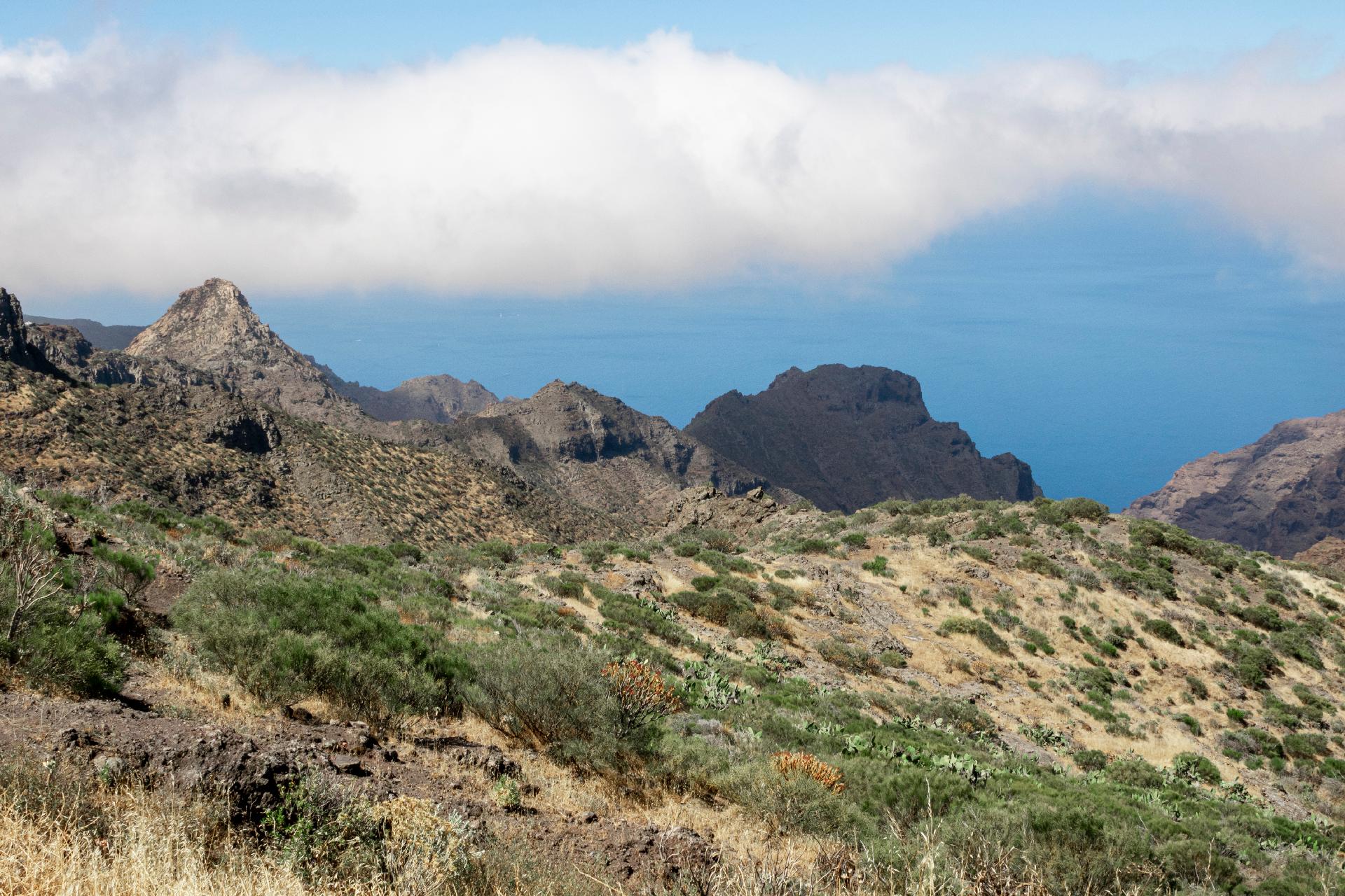 Mejor época para visitar la isla de La Palma
