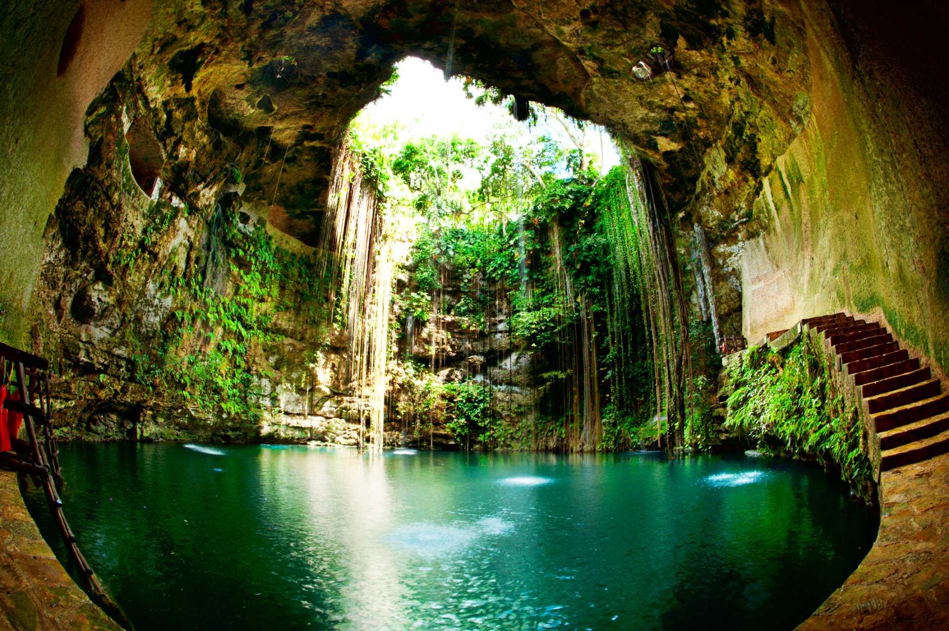 Descubre los 7 mejores cenotes de la Riviera Maya