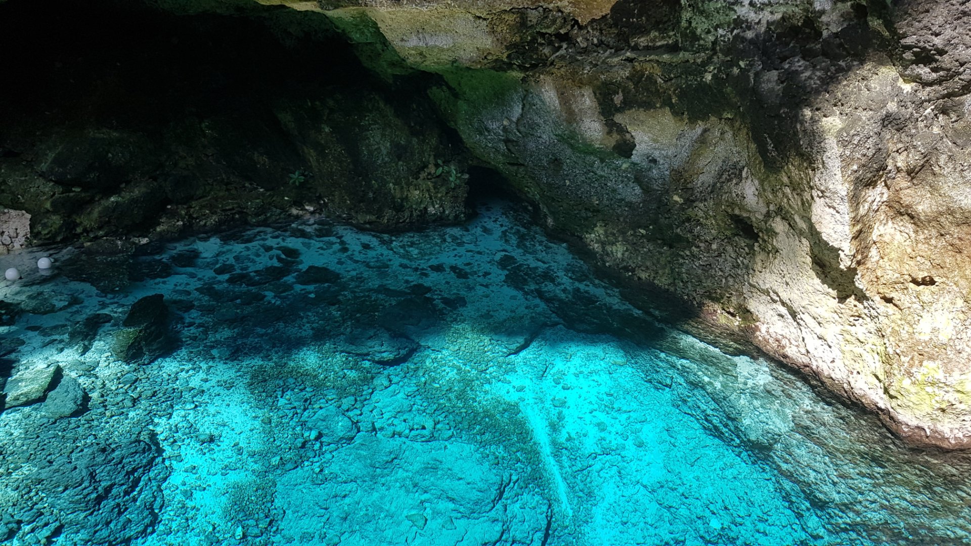 Hoyo Azul: el mejor cenote de Punta Cana