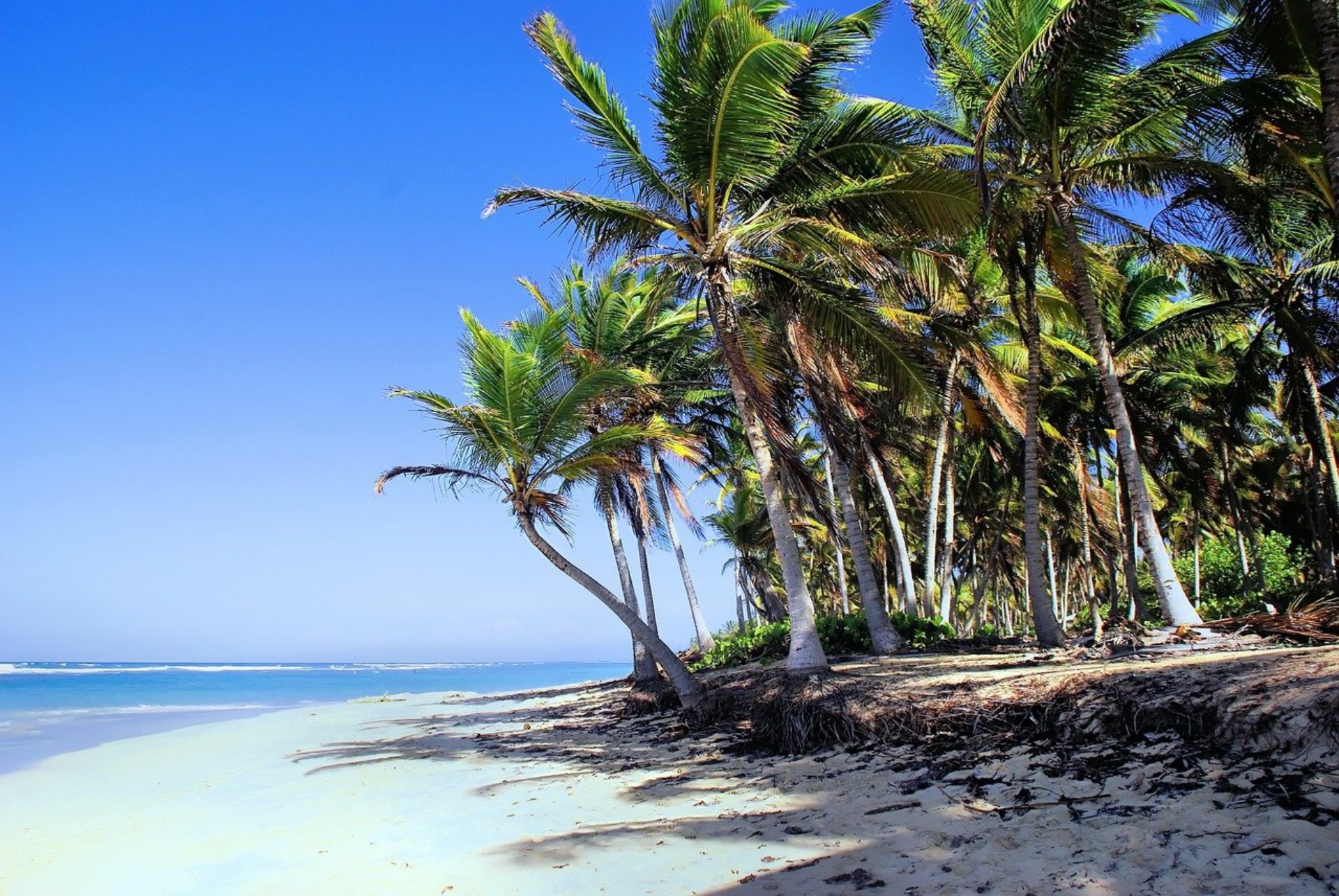 Las mejores 7 playas de Punta Cana