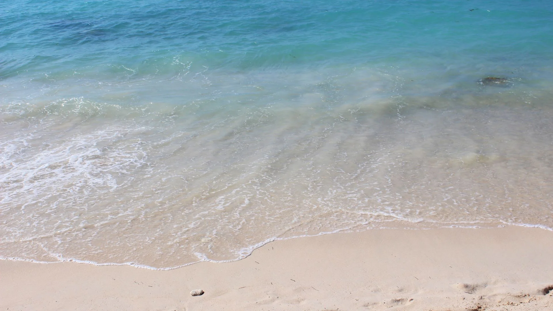 Las mejores playas de Isla Barú: guía completa por islas