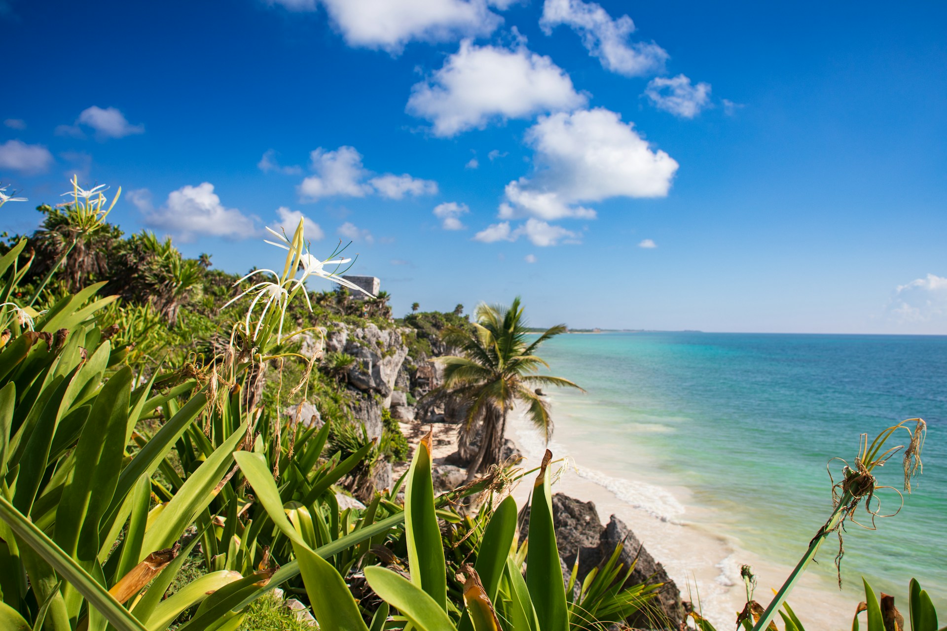 Riviera Maya en diciembre: Clima, planes y recomendaciones