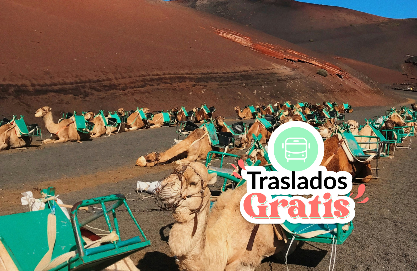 VENTA ANTICIPADA 2024 - TRASLADOS GRATIS - LANZAROTE