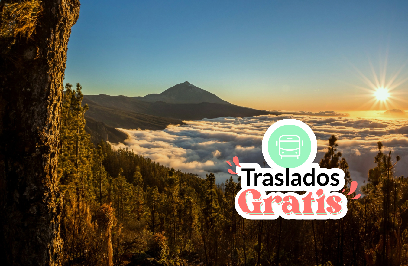 VENTA ANTICIPADA 2024 - TRASLADOS GRATIS - TENERIFE