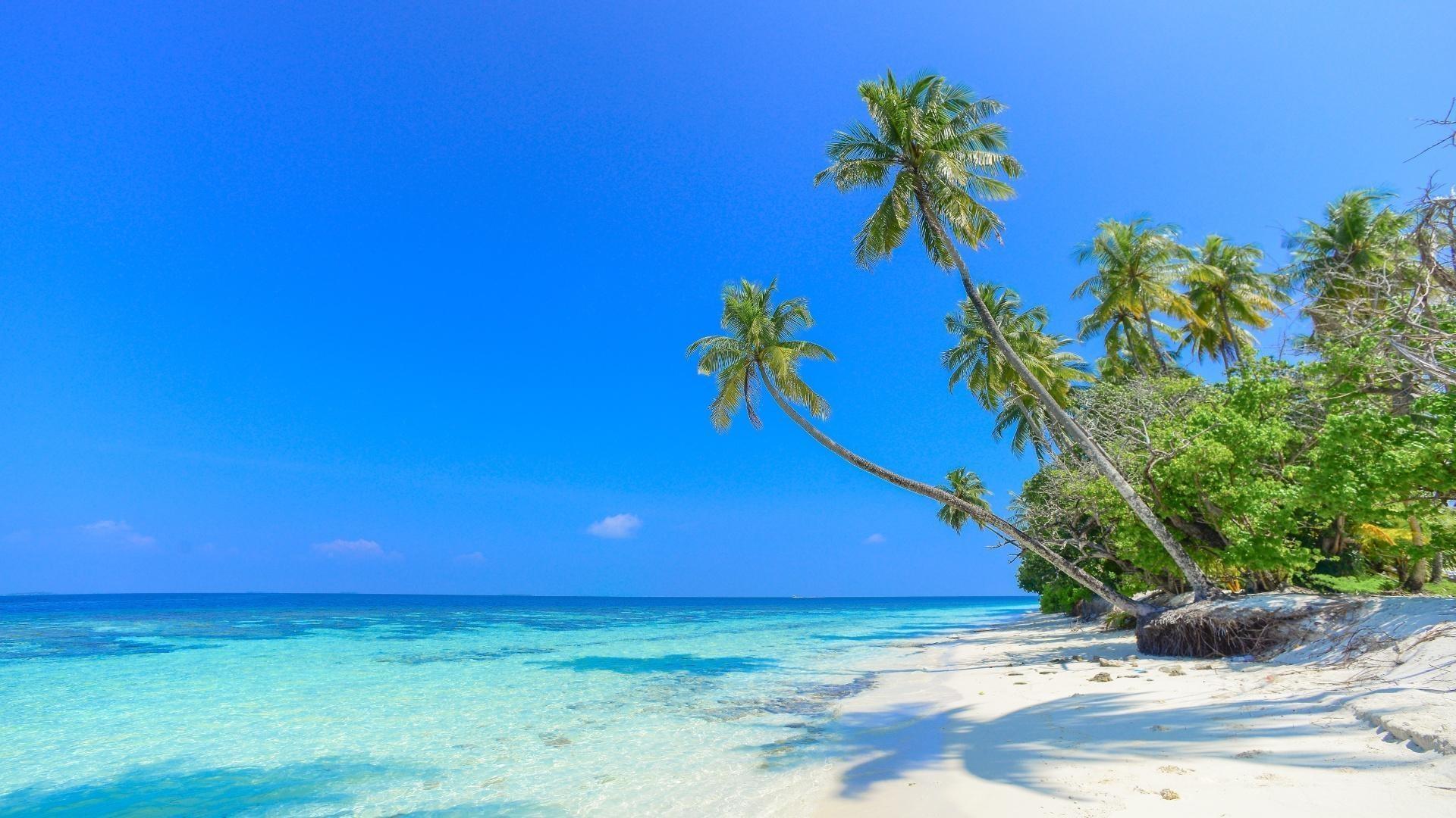 Playas Paradisíacas