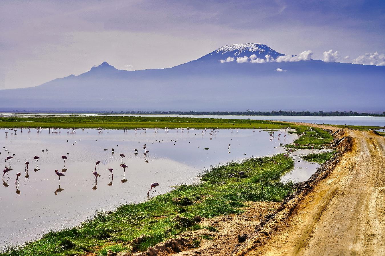 Monte Kilimanjaro con cielos azules brillantes sobre el sereno lago Amboseli, flamencos y senderos de safari en el Parque Nacional Amboseli