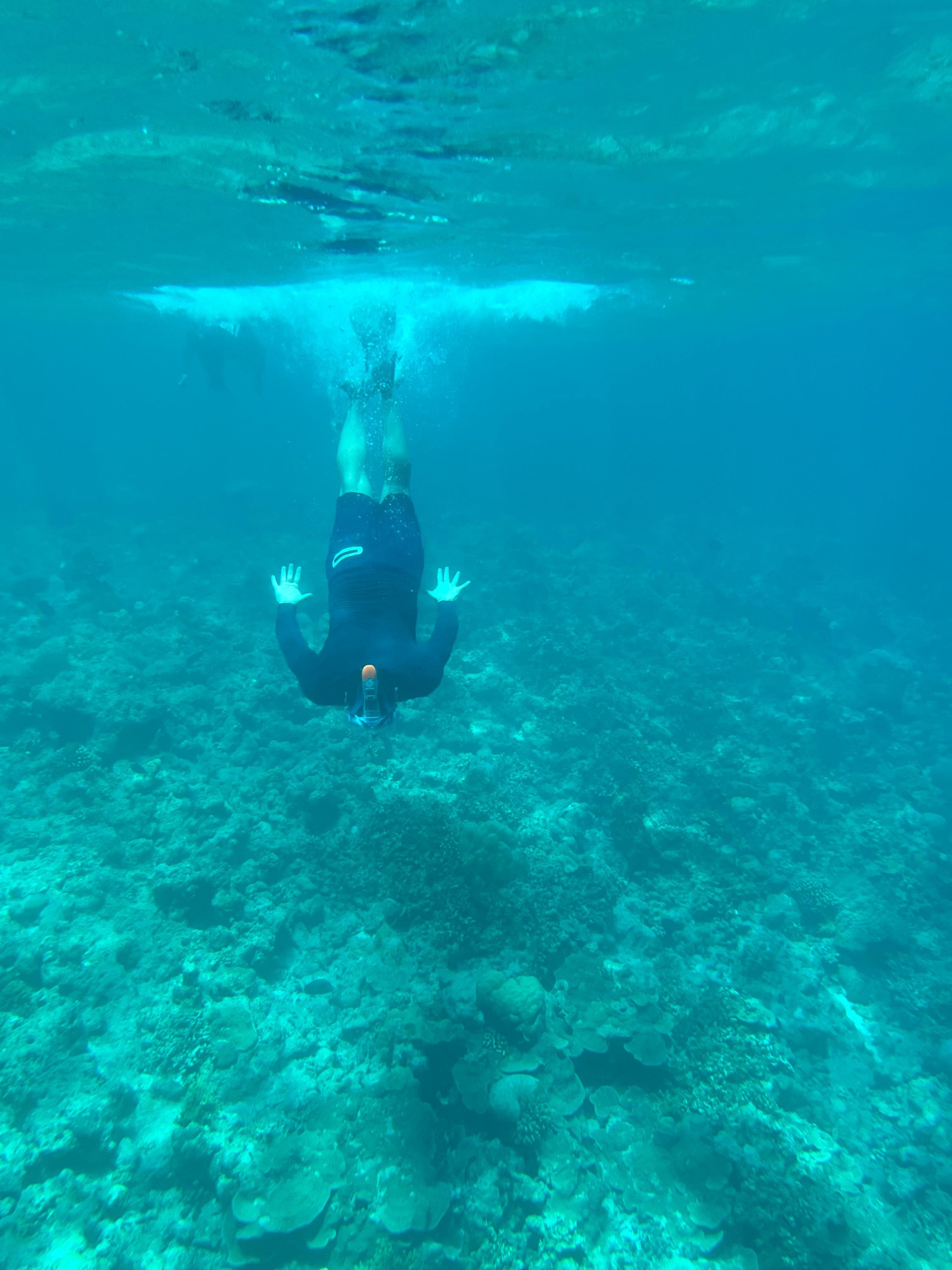 Snorkel en Maldivas