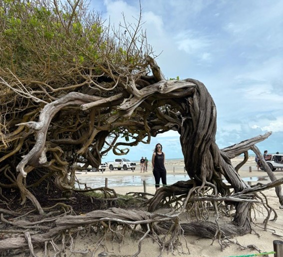 Playa Brasil