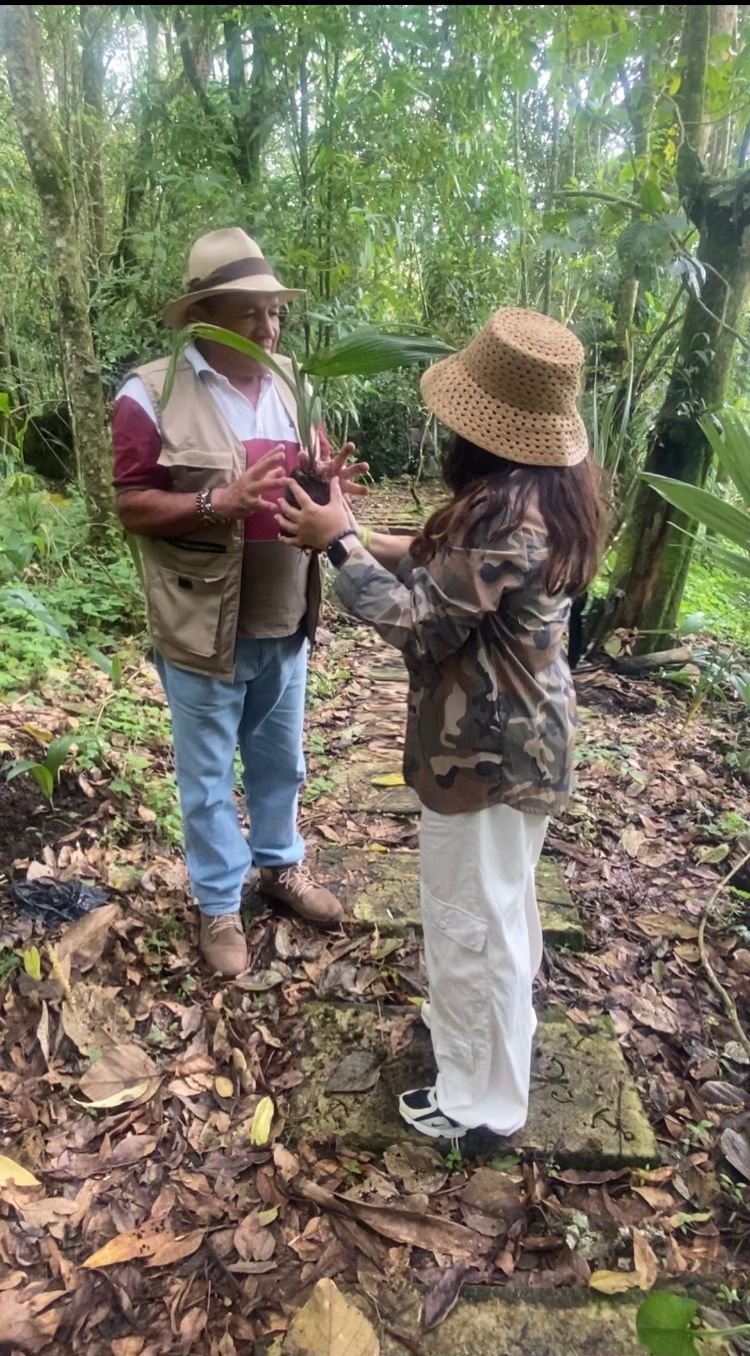 Visita turística a una plantación cafetera en colombia