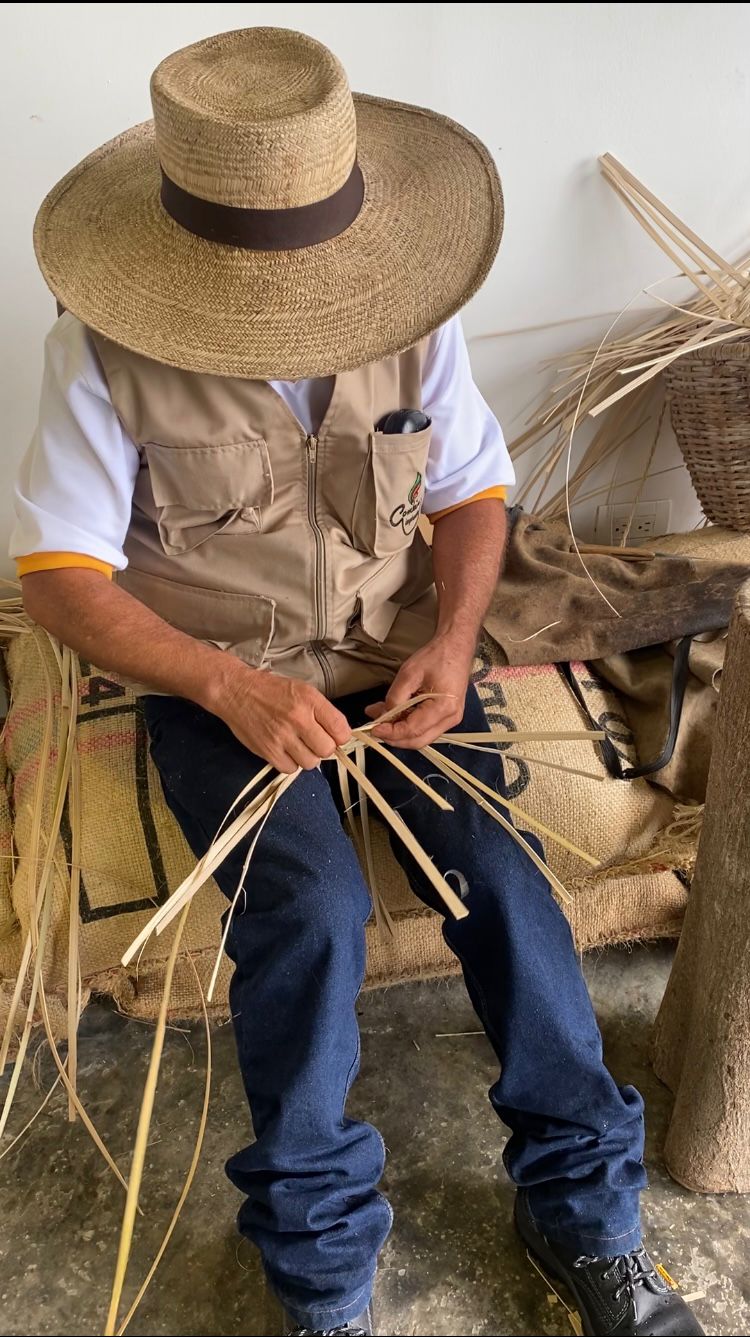 Artesano colombiano elaborando cesto para la recolección del café