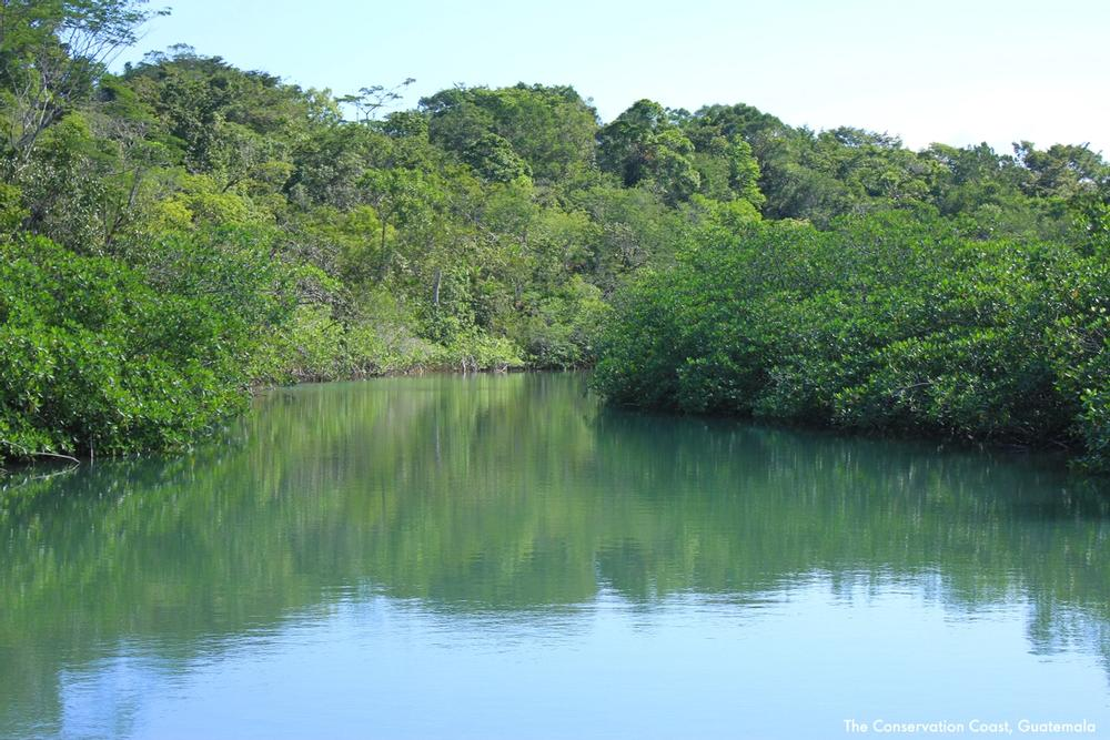 Proyecto de conservación de ecosistemas