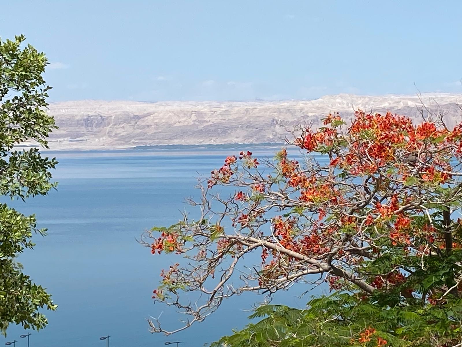 Panorámica costa Mar Muerto