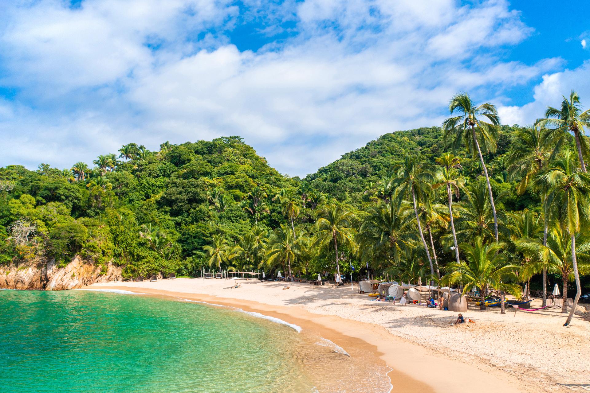 selva y playa paradisiaca en Puerto Vallarta
