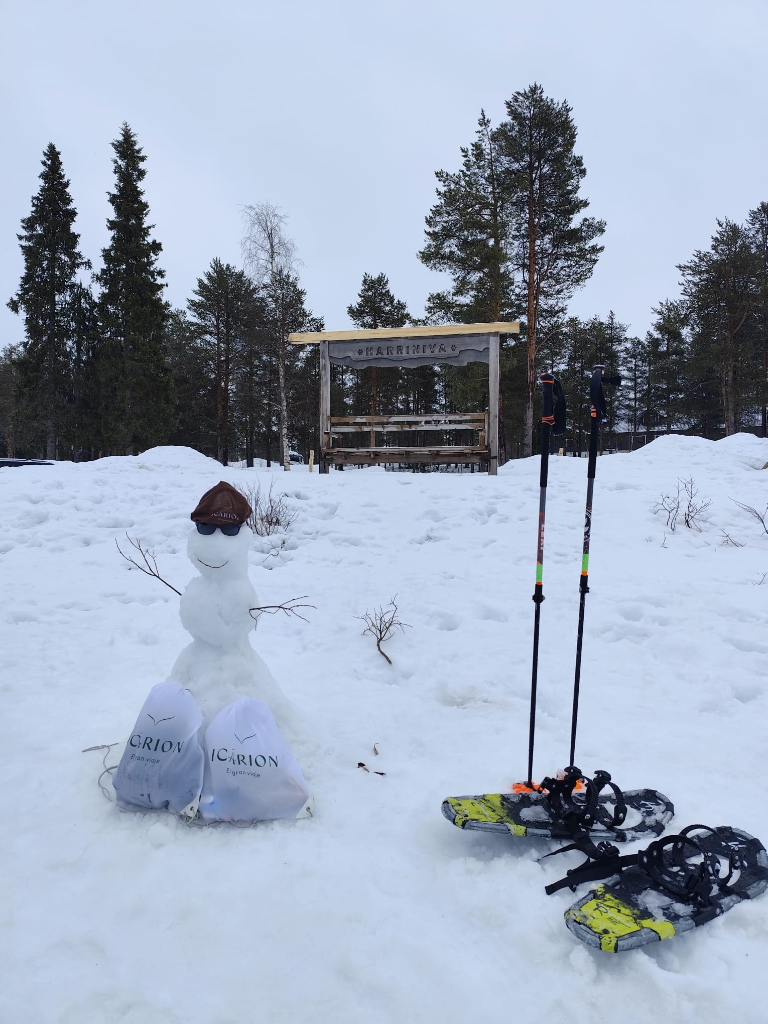 Raquetas de nieve Harriniva