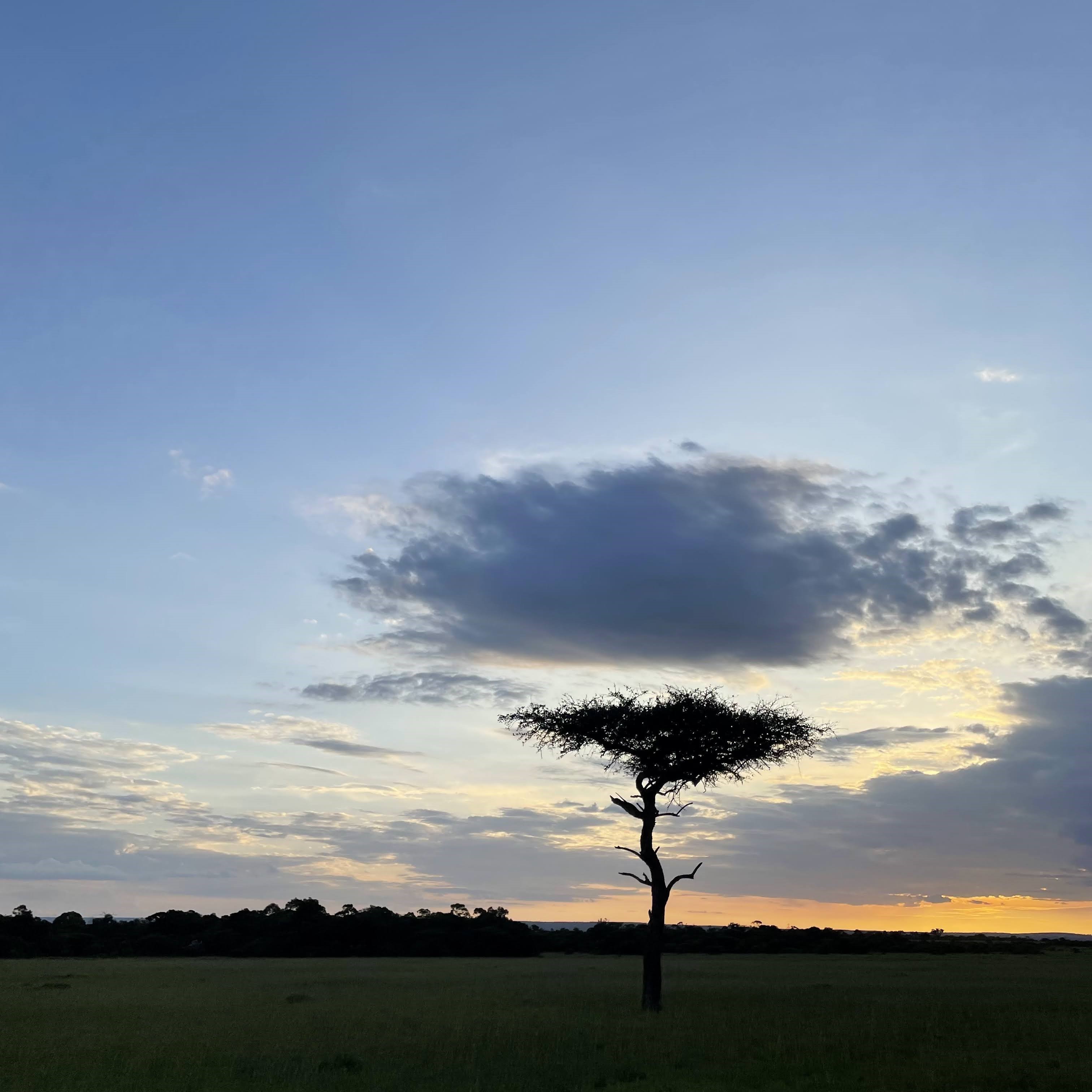 panoramica al amanecer en la sabana kenia
