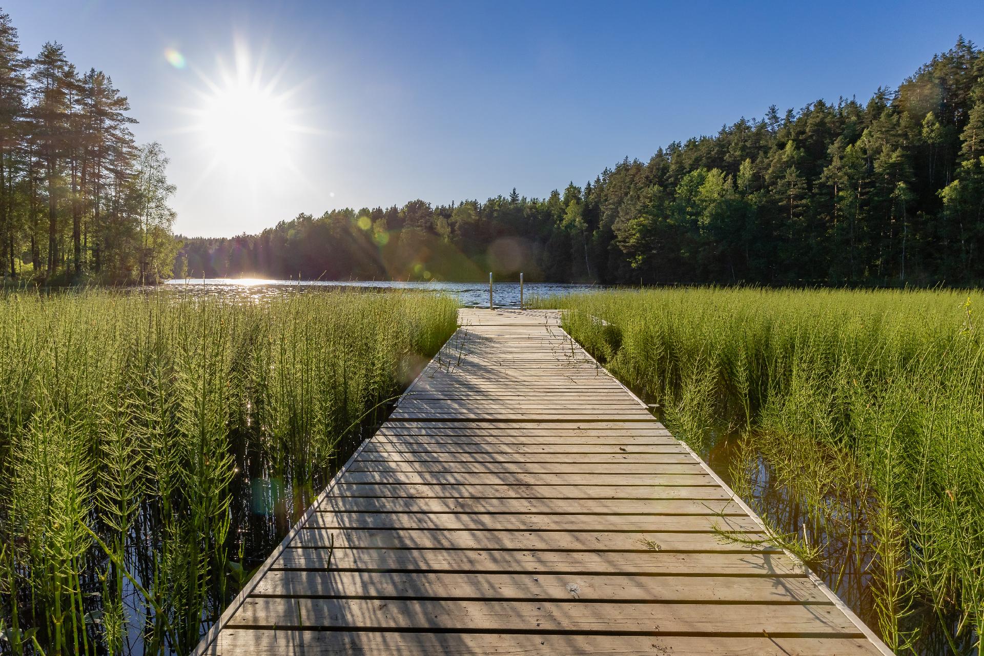 Lago forestal al atardecer en verano en Laponia