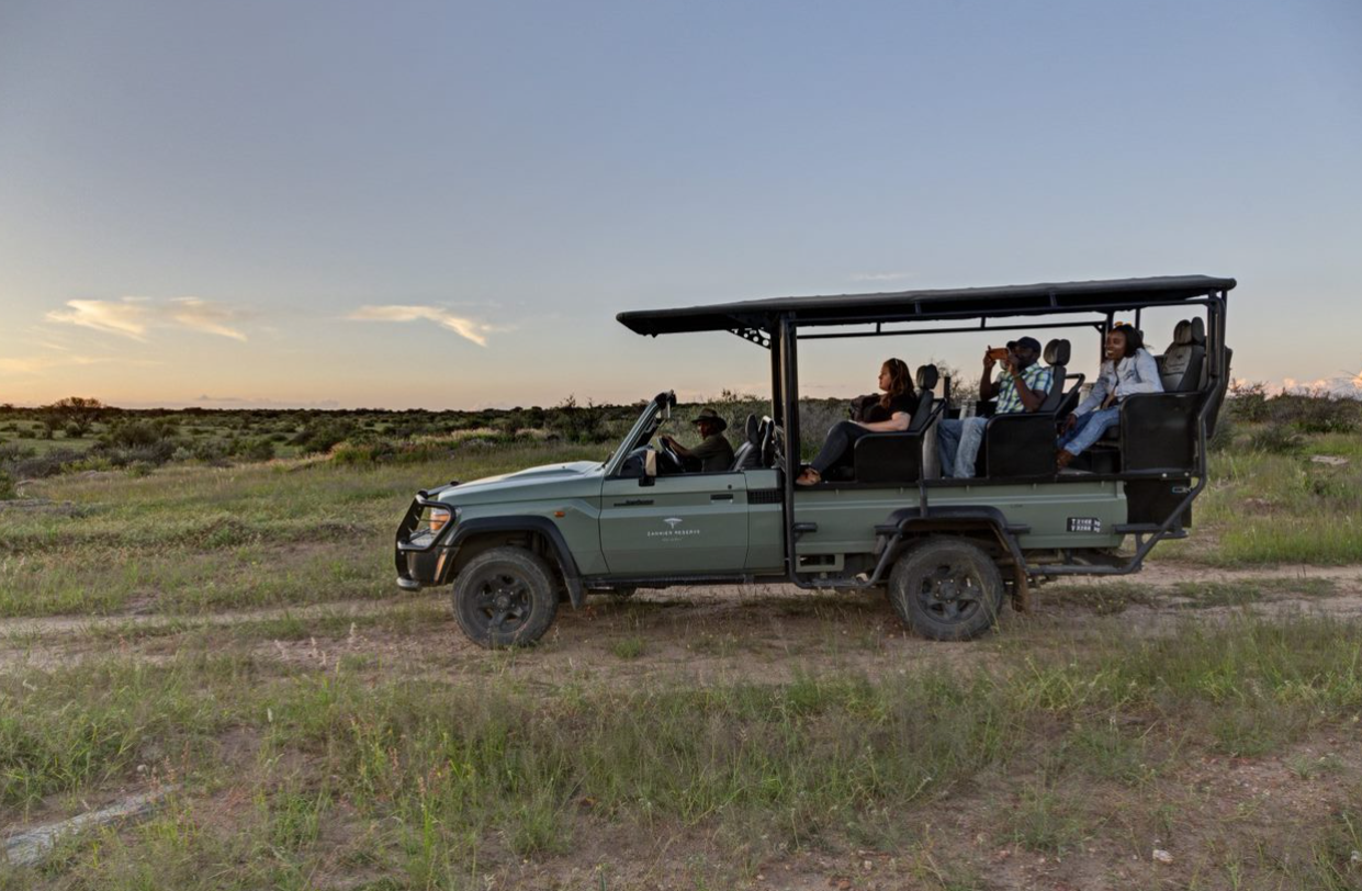 Safari