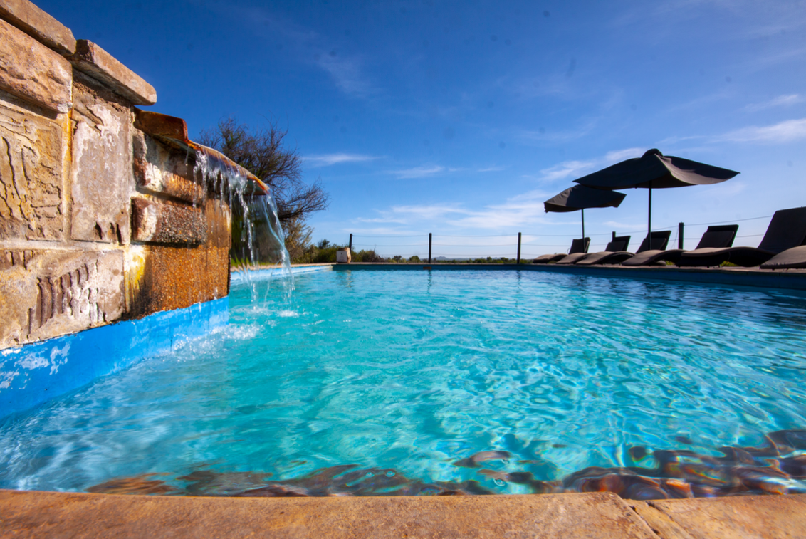 Pool Wildlife Sanctuary