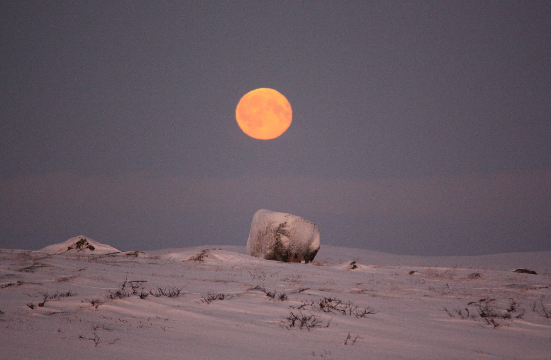 Paisaje polar con luna llena sobre la nieve en Nuorgam