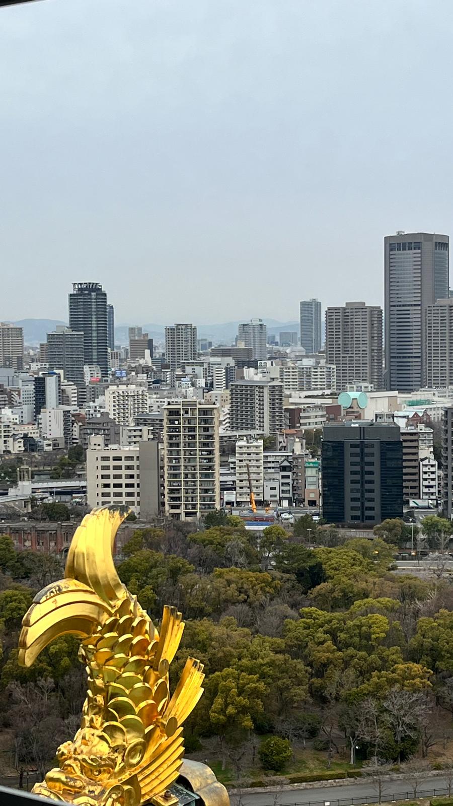 Vistas de Osaka desde el castillo