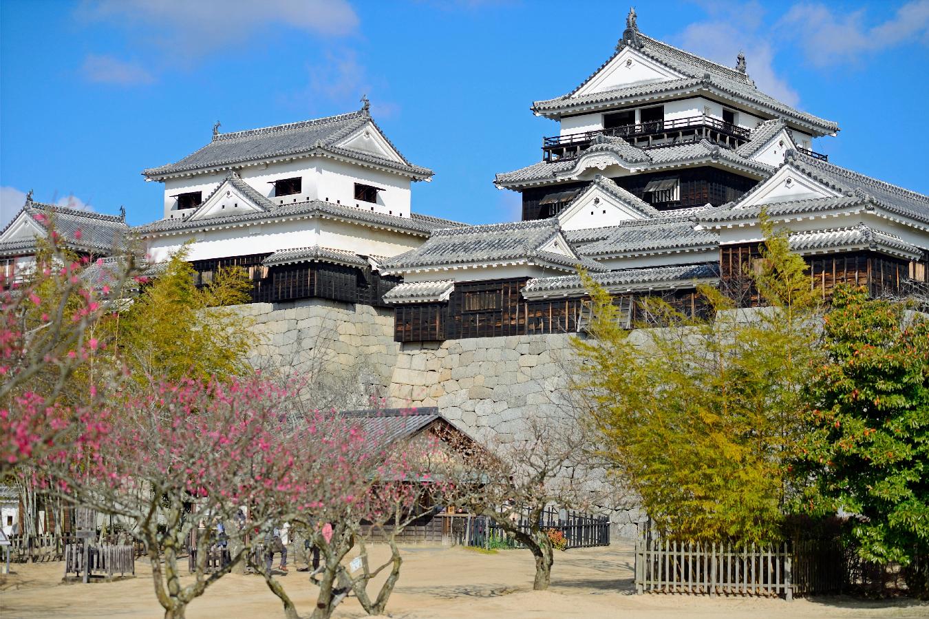 Castillo de Matsuyama al comienzo de la primavera