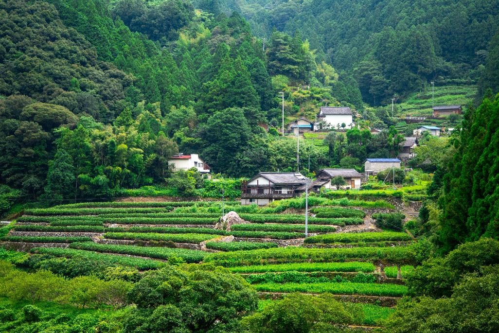 Hermosos paisajes de los montes Shikoku