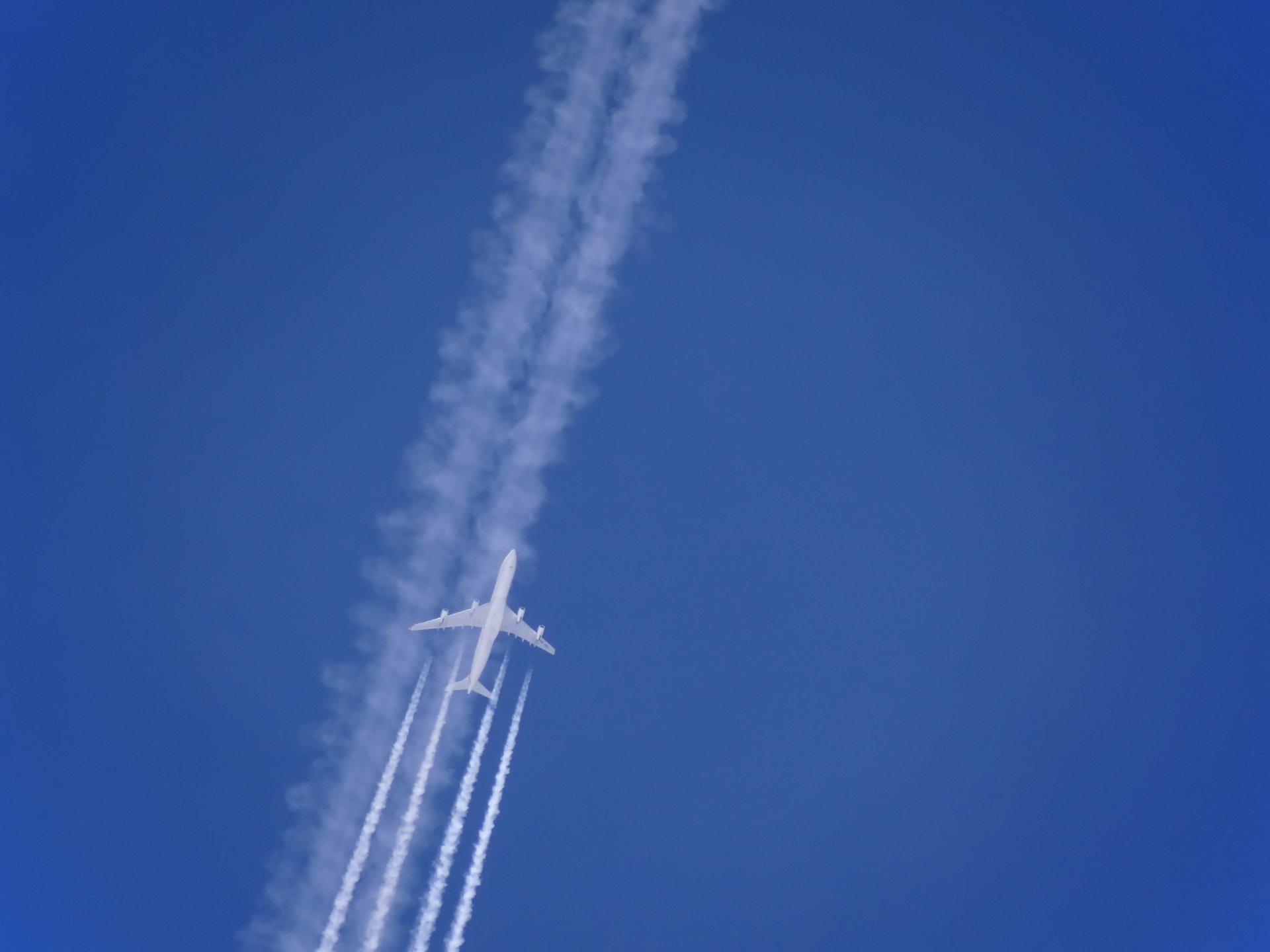 Estela de un avión en el cielo