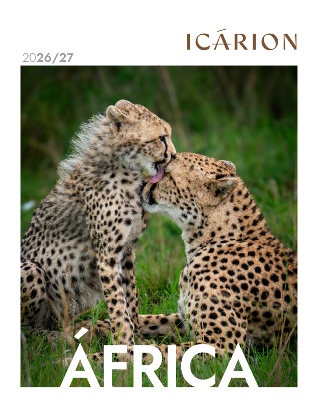 África 2026-27
