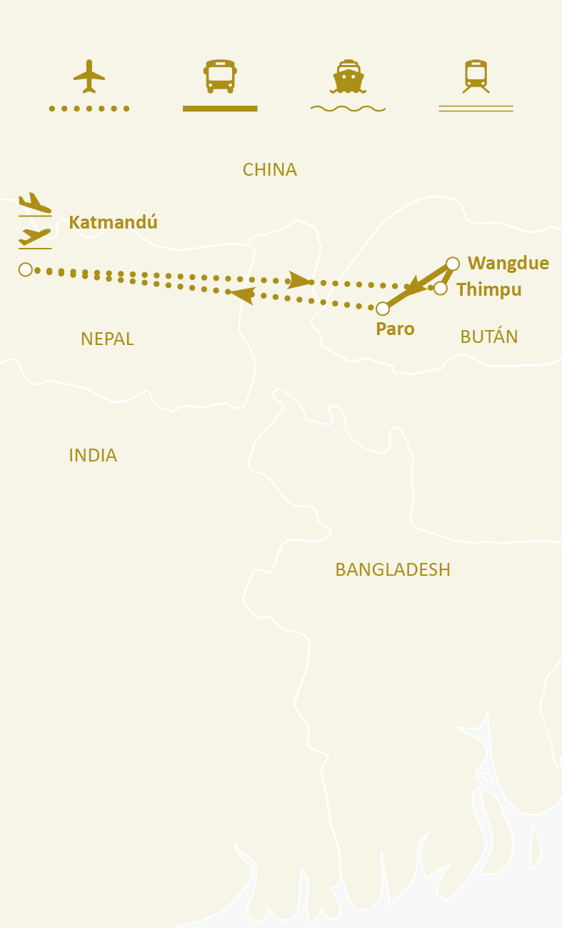 Mapa de ruta