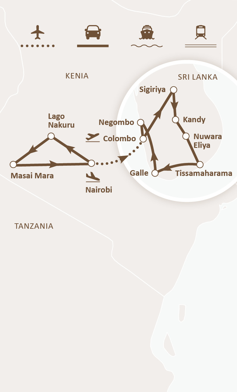 Mapa de ruta