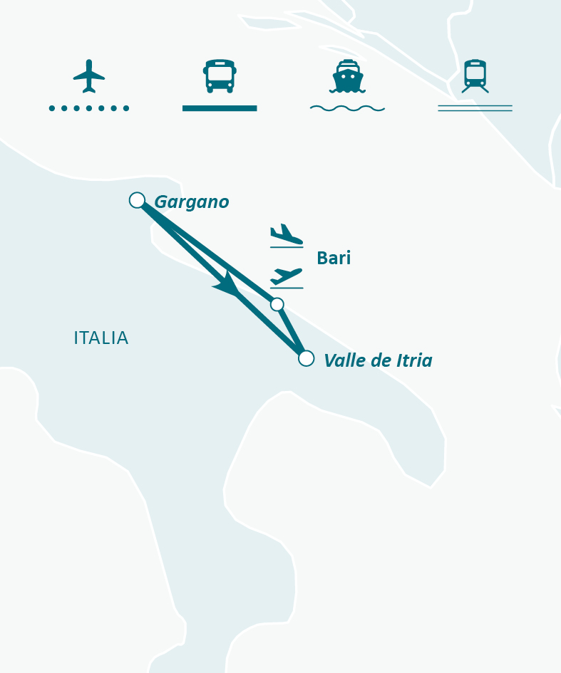 Mapa de ruta