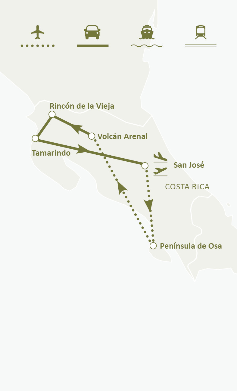 Mapa de ruta