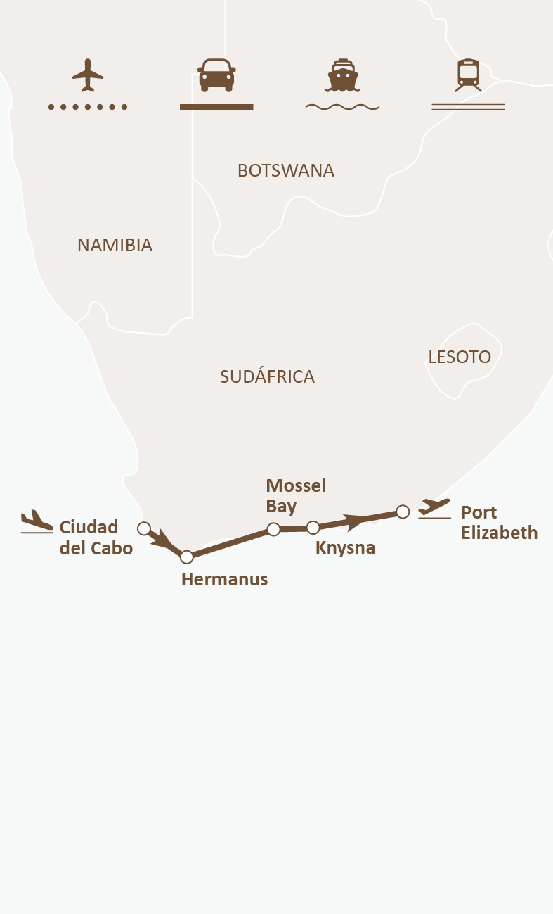 Mapa de ruta