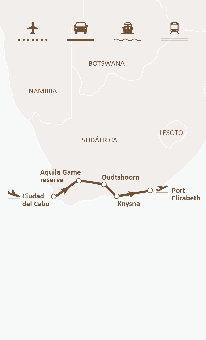 Mapa de ruta