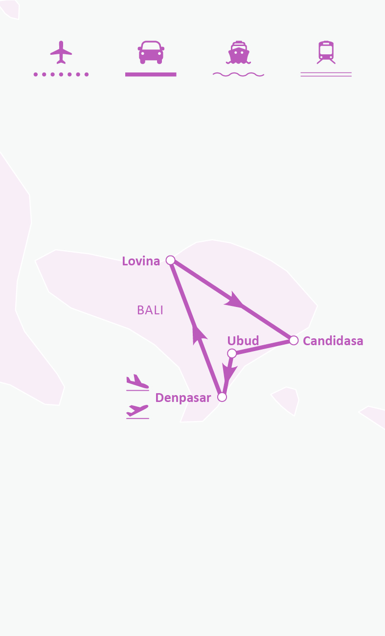 Mapa de ruta