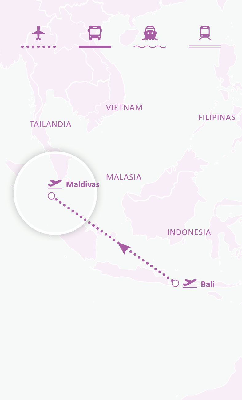 Mapa de ruta