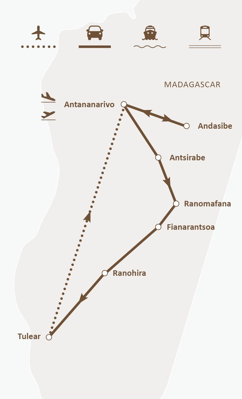 Mapa de ruta