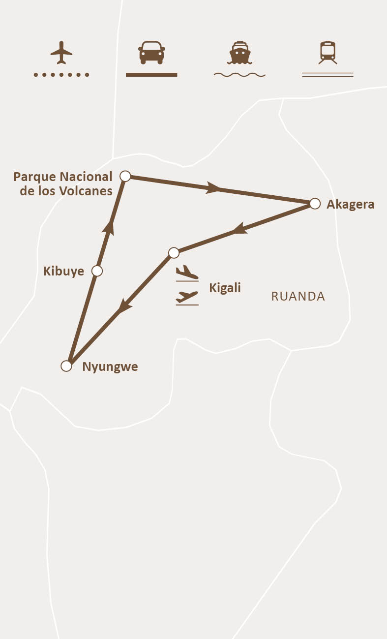 Mapa de ruta
