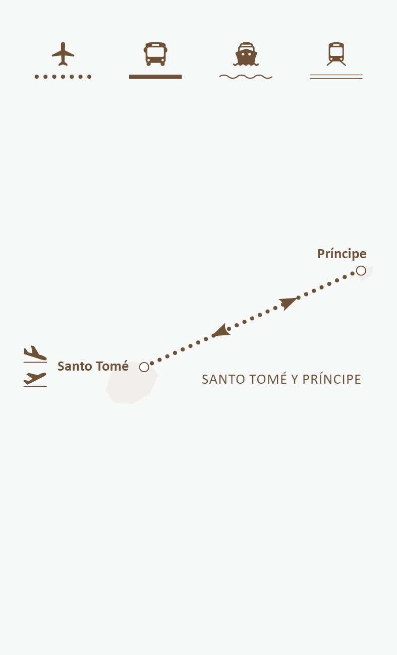 Mapa de ruta