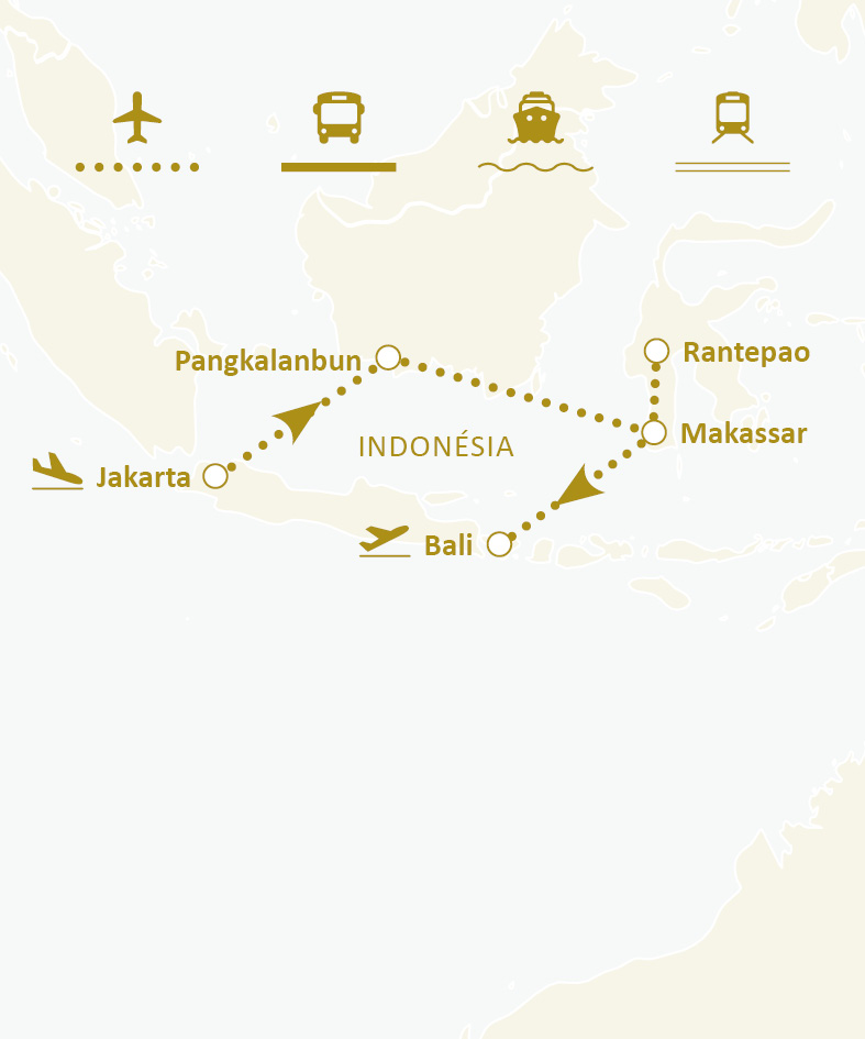 Mapa de rotas