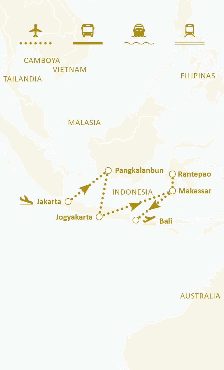 Mapa de ruta