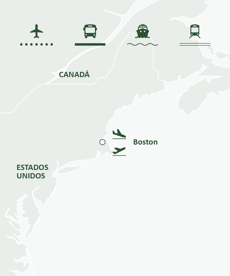 Mapa de ruta