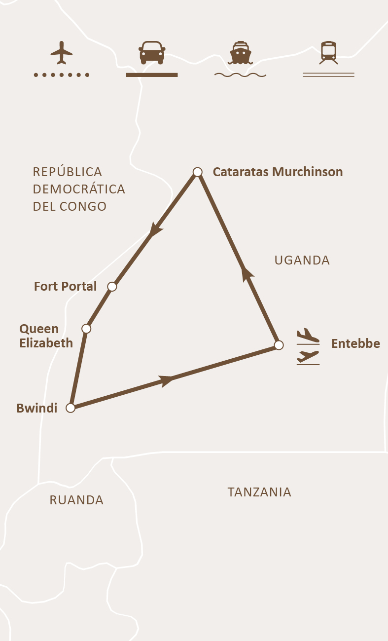 Mapa de ruta