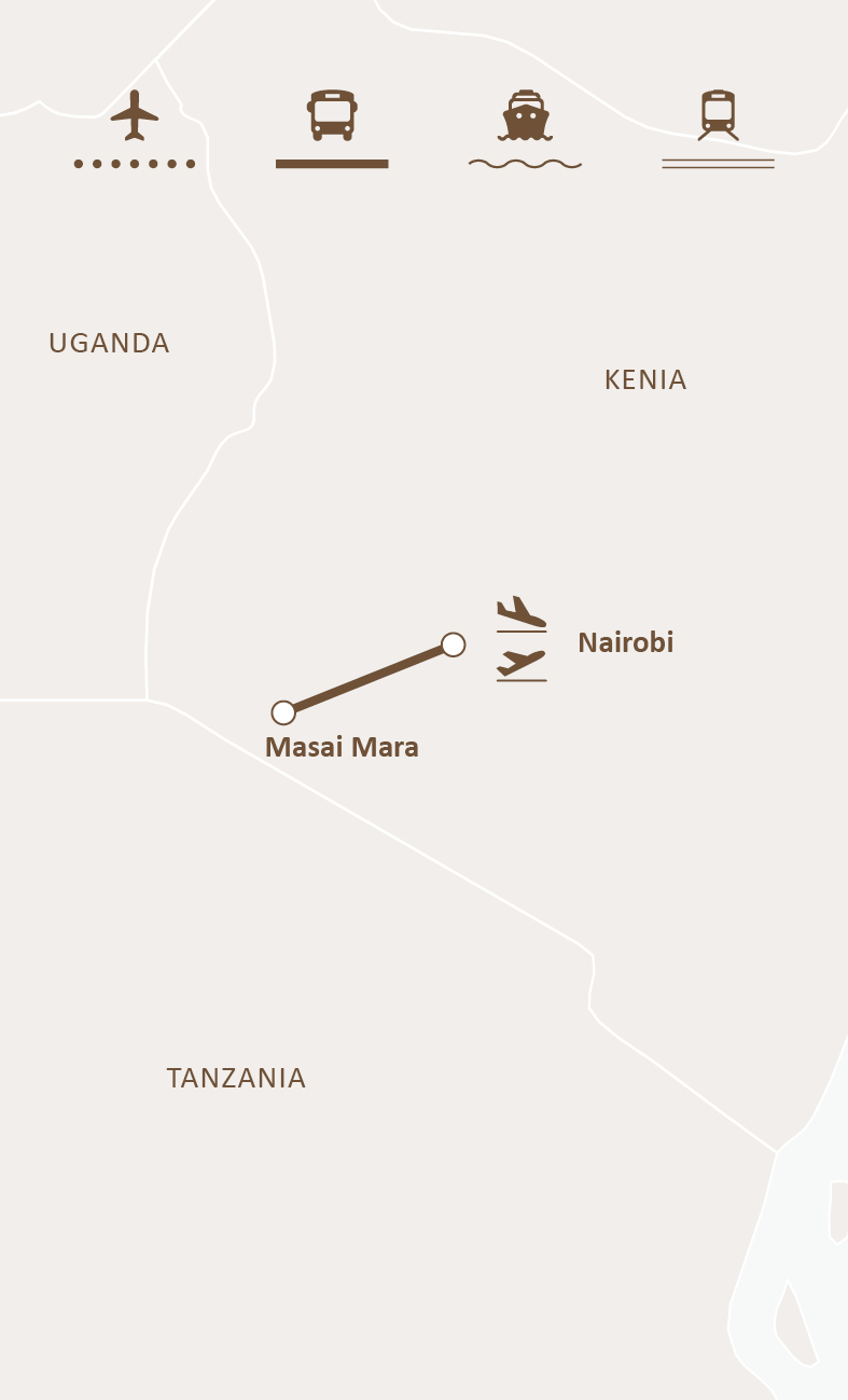 Mapa de ruta