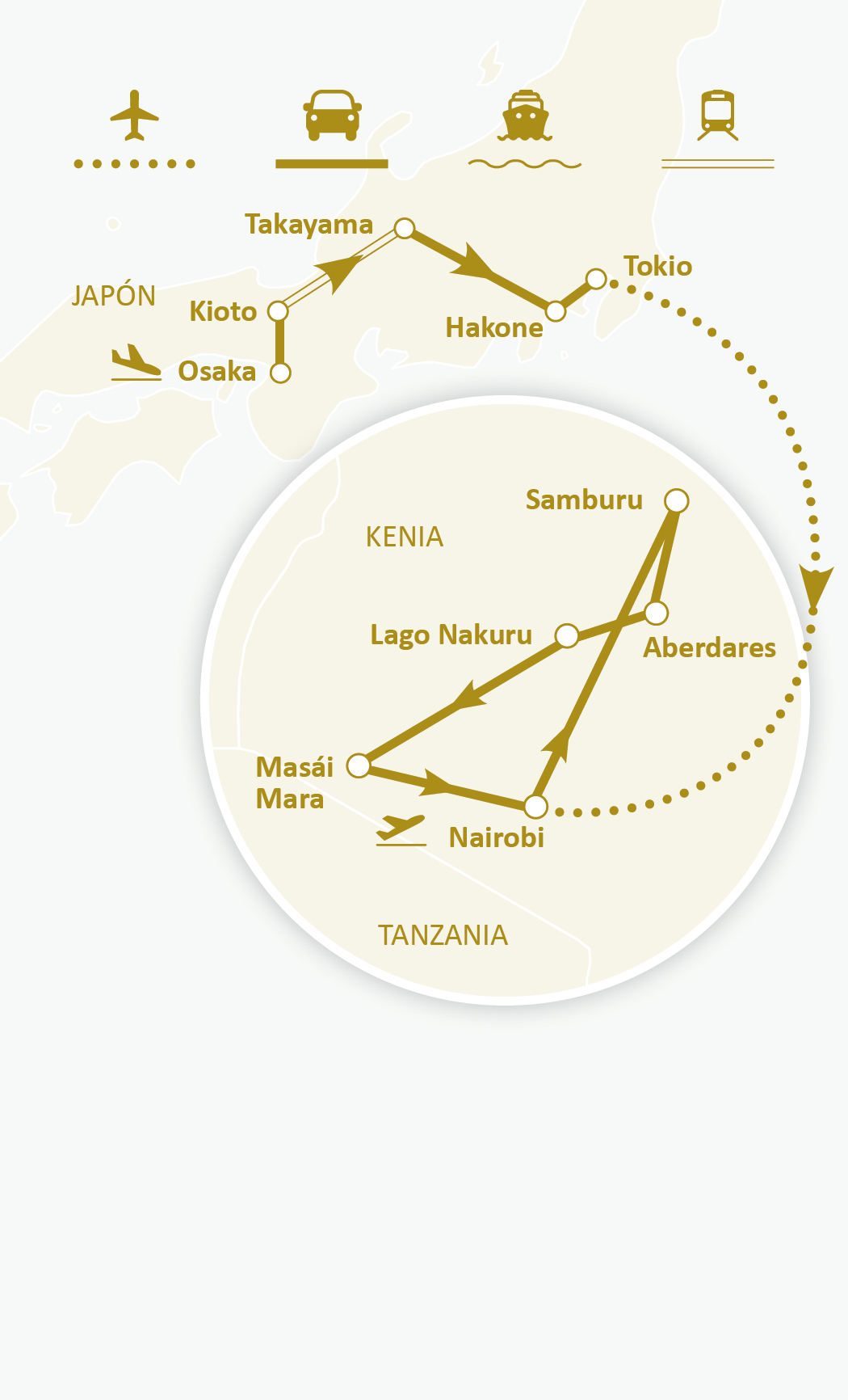 Mapa de ruta