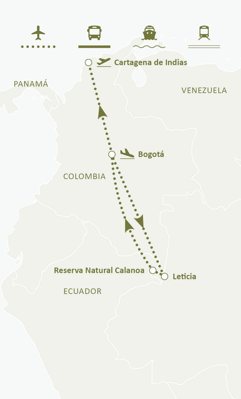 Mapa de ruta