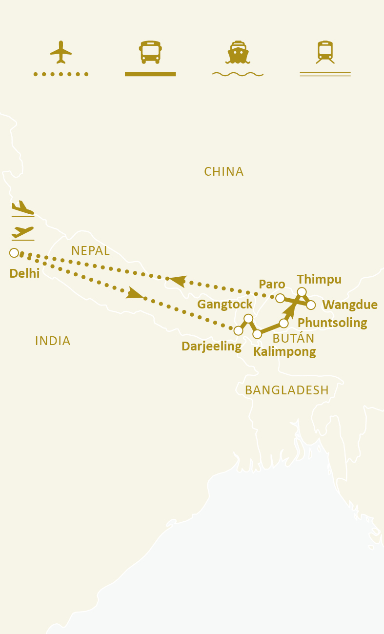 Mapa de ruta