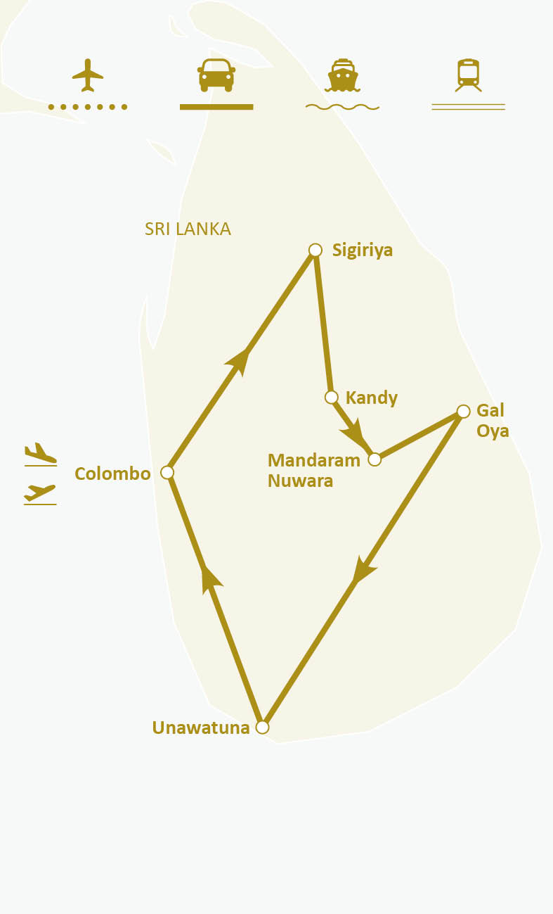 Mapa de ruta