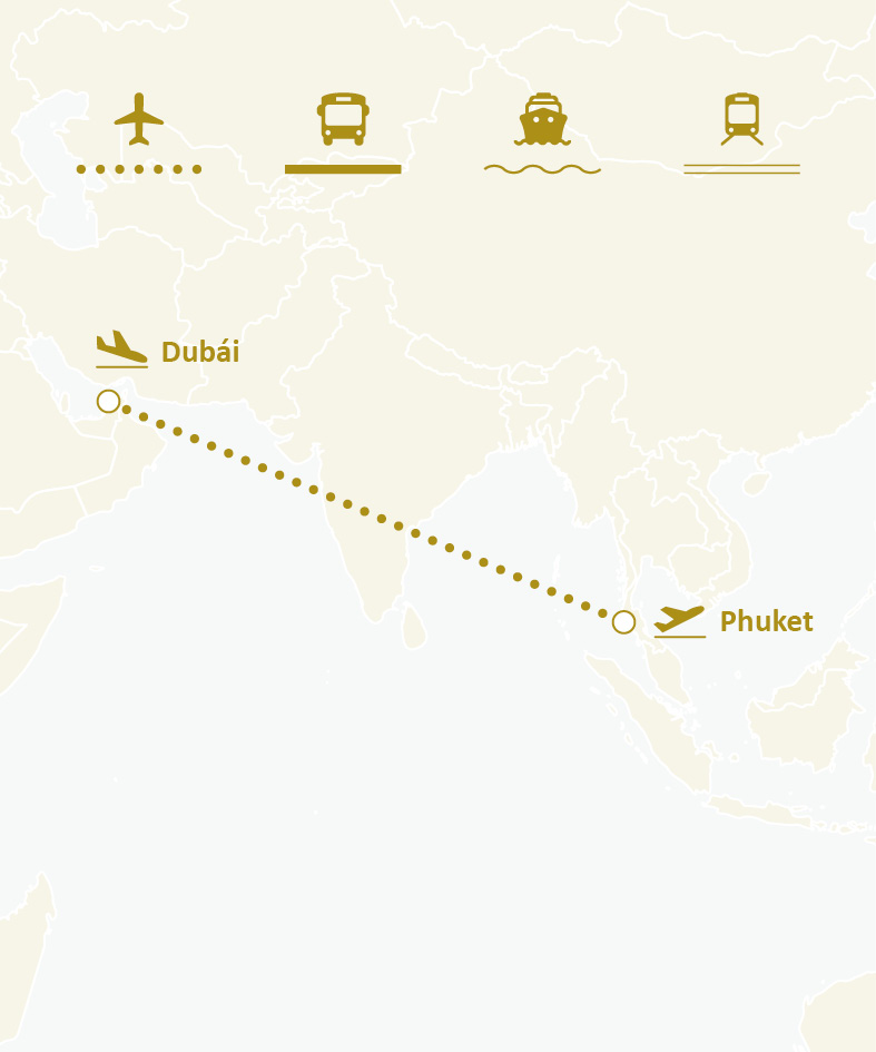 Mapa de ruta